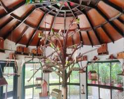 Apart from strolling and enjoying the museum, the museum also facilitates a separate house for students who are preparing for their scientific examina